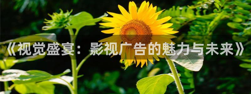 黑螞蟻影視在線觀看：《視覺盛宴：影視廣告的魅力與未來》
