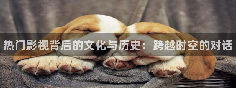 黑螞蟻視頻電視劇：熱門影視背后的文化與歷史：跨越時(shí)空的對(duì)話